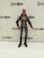 Hasbro Marvel Legends Bloodstorm