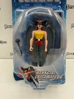 Mattel DC Justice League Hawkgirl