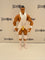 Mattel WWE Elite Collection Series 12 Alberto Del Rio