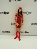 Hasbro Marvel Legends 2-Pack Elektra