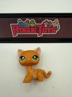 Hasbro Littlest Pet Shop (LPS) Raceabout Ranch Shorthair Cat 525