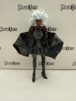 ToyBiz Marvel Legends Series VIII Storm