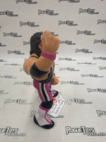 Hasbro WWF Bret Hart Series 4