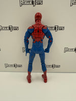 Hasbro Marvel Legends SP/dr Series House of M Spider-Man