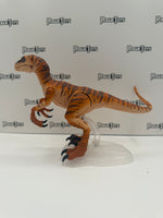 Mattel Jurassic World Amber Collection Tiger Velociraptor