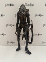 NECA Aliens Xenomorph Warrior (Brown)