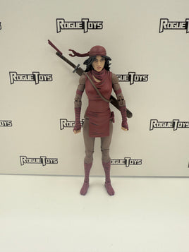 NECA Teenage Mutant Ninja Turtles (TMNT) The Last Robin Karai