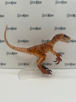 Mattel Jurassic World Amber Collection Tiger Velociraptor