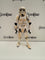 Hasbro Star Wars The Black Series Stormtrooper #9