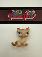 Hasbro Littlest Pet Shop (LPS) Stylin’ Pets Runway Shorthair Cat 1024