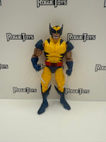 Hasbro Marvel Legends Love Triangle Wolverine