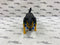 Beast Wars K-9