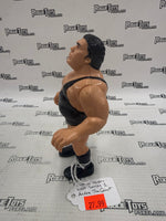 Hasbro WWF Andre The Giant Series 1