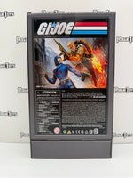 Hasbro G.I. Joe (ARAH) Duke vs. Cobra Commander