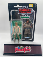 Kenner Star Wars: The Empire Strikes Back Luke Skywalker (Dagobah)