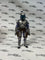Star Wars The Black Series Jango Fett