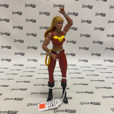 Mattel DC Multiverse Wonder Girl (Dr. Psycho Collect-n-Connect Wave) - Rogue Toys