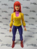 Hasbro Marvel Legends Series Spider-Man The Animated Series Mary Jane