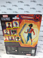 Hasbro Marvel Legends Series Pavitr Prabhakar