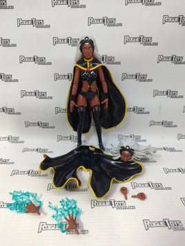 Hasbro Marvel Legends Series Storm from 2 pack