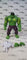 Marvel Legends Hulk (Wolverine vs Hulk)