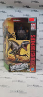 Transformers War For Cybertron Kingdom Dinobot