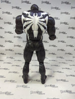 Hasbro Marvel Legends Series Spider-Man 2 Venom