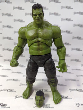 Hasbro Marvel Legends Series Hulk BAF