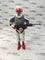 Hasbro Star Wars The Black Series RC-1207 (Sev)