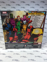 Hasbro Marvel Legends Series Deadpool Rainbow Squad