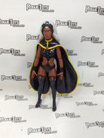 Hasbro Marvel Legends Series Storm from 2 pack