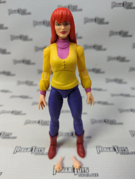 Hasbro Marvel Legends Series Spider-Man The Animated Series Mary Jane