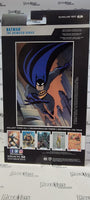 DC Multiverse Batman Animated series