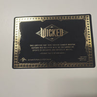 Mattel Creations WICKED- Glenda and Elphaba