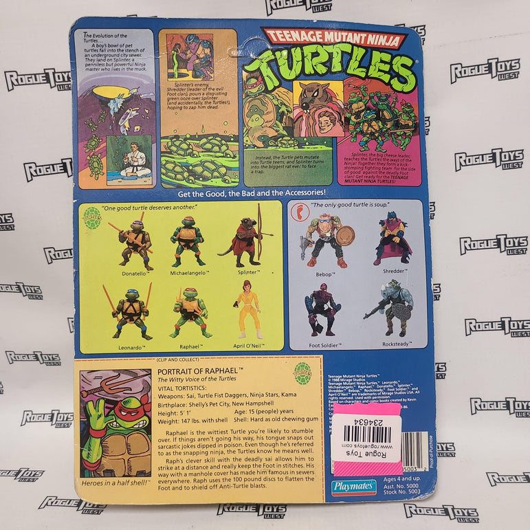 Playmates Teenage Mutant Ninja Turtl Raphael(10 Back Soft Head) - Rogue Toys