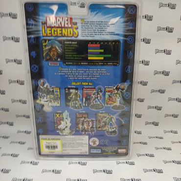 Toy Biz Marvel Legends X-Men Storm - Rogue Toys