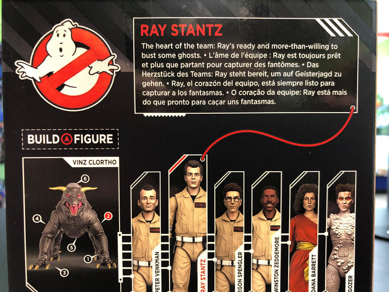 Hasbro Ghostbusters RAY STANTZ - Rogue Toys