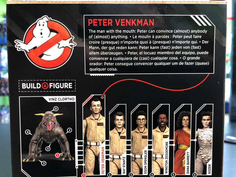Hasbro Ghostbusters PETER VENKMAN - Rogue Toys
