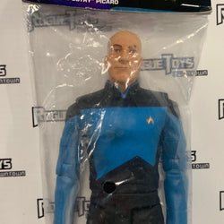 Diamond Select Star Trek The Next Generation Tapestry Picard - Rogue Toys