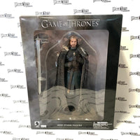 Dark Horse Deluxe HBO Game of Thrones Ned Stark Figure - Rogue Toys