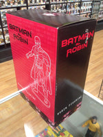Batman & Robin Warner Brothers Studios Store Exclusive Robin - Rogue Toys