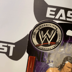JakksPacific WWE Havoc Unleashed Triple H - Rogue Toys